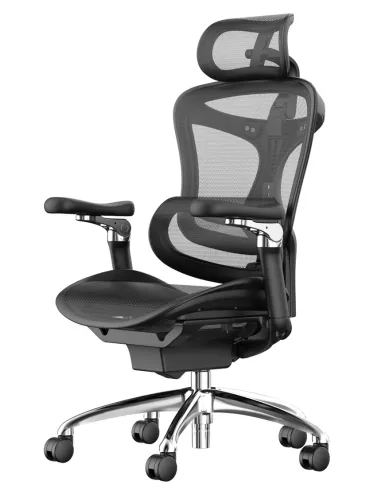 Крісло SIHOO DORO-C300 PRO BLACK ергономічне - купити Київ, Дніпро, Одеса, Львів, Харків