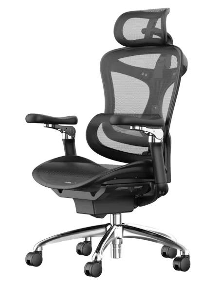 Крісло SIHOO DORO-C300 PRO BLACK ергономічне - купити Київ, Дніпро, Одеса, Львів, Харків