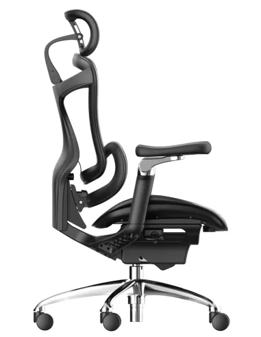 Кресло SIHOO DORO-C300 PRO BLACK эргономичное - купить Киев, Днепр, Одесса, Львов, Харьков