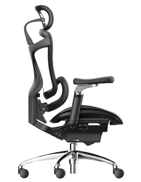 Кресло SIHOO DORO-C300 PRO BLACK эргономичное - купить Киев, Днепр, Одесса, Львов, Харьков