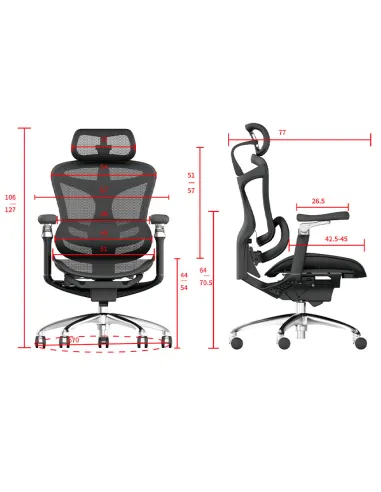 Кресло SIHOO DORO-C300 BLACK эргономичное - купить Киев, Днепр, Одесса, Львов, Харьков