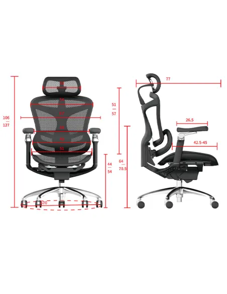 Кресло SIHOO DORO-C300 PRO BLACK эргономичное - купить Киев, Днепр, Одесса, Львов, Харьков