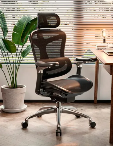 Крісло SIHOO DORO-C300 PRO BLACK ергономічне - купити Київ, Дніпро, Одеса, Львів, Харків