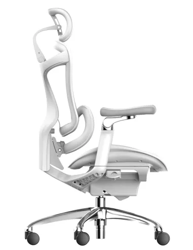 Крісло SIHOO DORO-C300 PRO WHITE ергономічне - купити Київ, Дніпро, Одеса, Львів, Харків