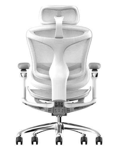 Крісло SIHOO DORO-C300 WHITE ергономічне - купити Київ, Дніпро, Одеса, Львів, Харків