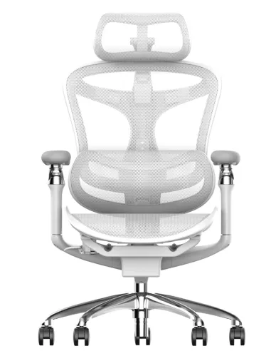 Кресло SIHOO DORO-C300 WHITE эргономичное - купить Киев, Днепр, Одесса, Львов, Харьков