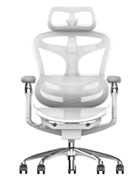 Кресло SIHOO DORO-C300 PRO WHITE эргономичное - купить Киев, Днепр, Одесса, Львов, Харьков