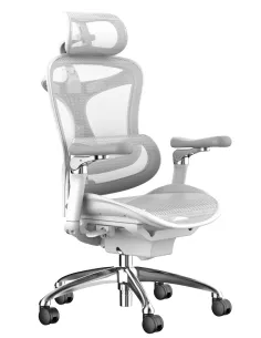 Крісло SIHOO DORO-C300 PRO WHITE ергономічне - купити Київ, Дніпро, Одеса, Львів, Харків