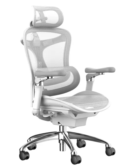 Крісло SIHOO DORO-C300 PRO WHITE ергономічне - купити Київ, Дніпро, Одеса, Львів, Харків