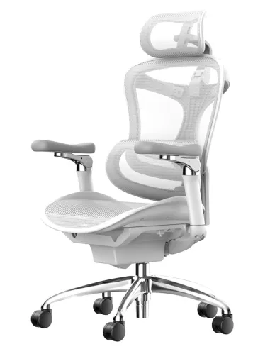 Крісло SIHOO DORO-C300 PRO WHITE ергономічне - купити Київ, Дніпро, Одеса, Львів, Харків