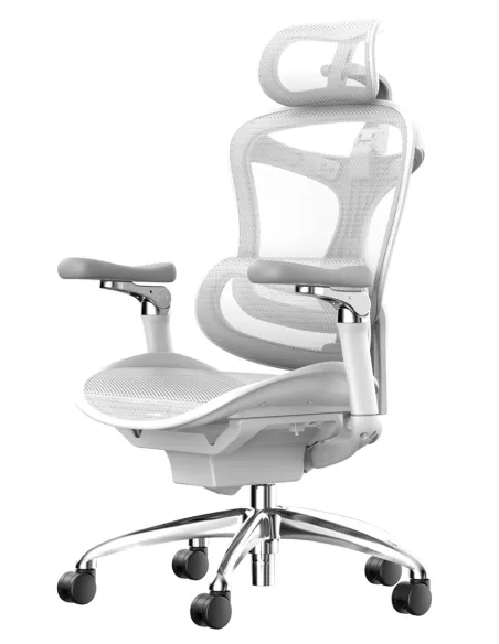 Кресло SIHOO DORO-C300 PRO WHITE эргономичное - купить Киев, Днепр, Одесса, Львов, Харьков