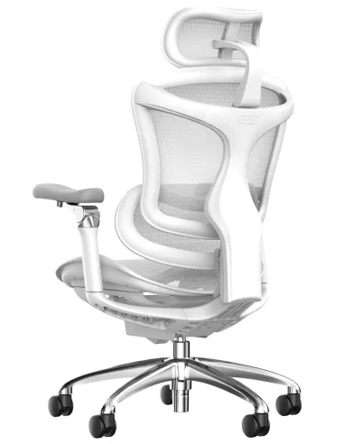 Крісло SIHOO DORO-C300 WHITE ергономічне - купити Київ, Дніпро, Одеса, Львів, Харків