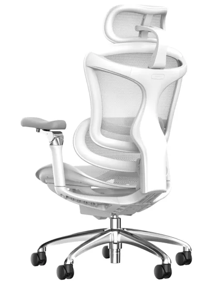 Кресло SIHOO DORO-C300 PRO WHITE эргономичное - купить Киев, Днепр, Одесса, Львов, Харьков