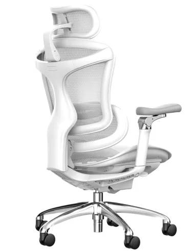 Крісло SIHOO DORO-C300 PRO WHITE ергономічне - купити Київ, Дніпро, Одеса, Львів, Харків