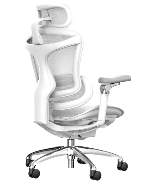 Крісло SIHOO DORO-C300 PRO WHITE ергономічне - купити Київ, Дніпро, Одеса, Львів, Харків