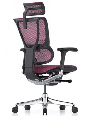 Кресло MIRUS-IOO 2 (IOOE2-AB-HAM-5D-L, сетка T-168-B5 PINK), эргономичное 2