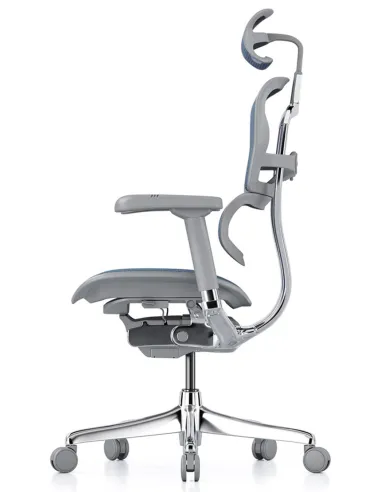 Кресло ERGOHUMAN ELITE 2 (EHE2-AG-HAM-5D-L, сетка T-168-B4 Cobalt), эргономичное - цена, Киев, Днепр, Харьков, Одесса, Львов