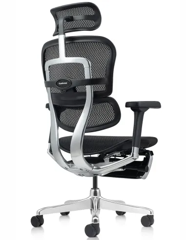 Кресло ERGOHUMAN ELITE 2 (EHE2-AB-HAM-5D-L-LM, сетка T-168-B1 BLACK), эргономичное, с подставкой под ноги - цена Киев, Днепр, О