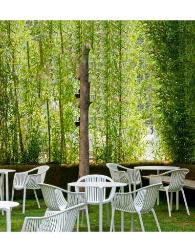 Стул PEDRALI TATAMI 306 VE зеленый - купить Киев, Днепр, Одесса, Львов, Харьков