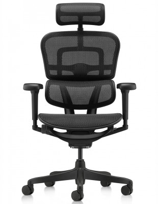 Крісло ERGOHUMAN ULTRA ALL... 2