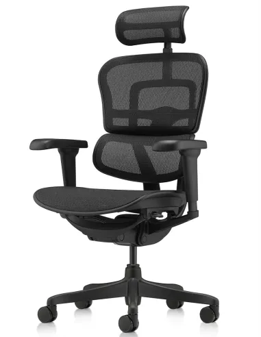 Кресло ERGOHUMAN ULTRA ALL BLACK (EHU-BB-HAM-4D, сетка T-168-B1 BLACK), эргономичное - купить Киев, Днепр, Одесса, Львов, Харько