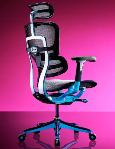 Кресло Ergohuman HC Suparnin Blue & White - купить Киев, Днепр, Одесса, Львов, Харьков