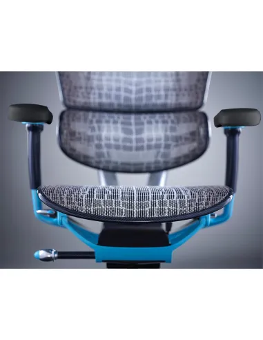 Кресло Ergohuman HC Suparnin Blue & White - купить Киев, Днепр, Одесса, Львов, Харьков