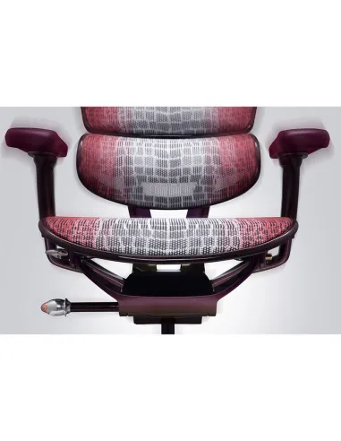 Крісло Ergohuman HC Suparnin Purple & Red - купити Київ, Дніпро, Одеса, Львів, Харків