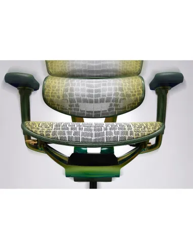 Крісло Ergohuman HC Suparnin Green & Gold - купити Київ, Дніпро, Одеса, Львів, Харків