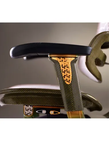 Кресло Ergohuman HC Suparnin Gold - купить Киев, Днепр, Одесса, Львов, Харьков