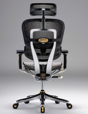 Крісло Ergohuman HC... 2