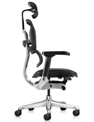 Крісло ERGOHUMAN ELITE 2 (EHE2-AB-HBM-F-5D-L), ергономічне, з тканинним сидінням - купити Київ, Дніпро,