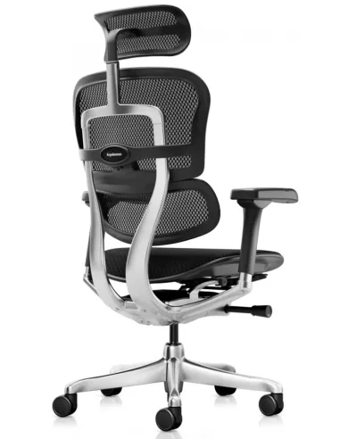 Крісло ERGOHUMAN ELITE 2 (EHE2-AB-HBM-F-5D-L), ергономічне, з тканинним сидінням - купити Київ, Дніпро,