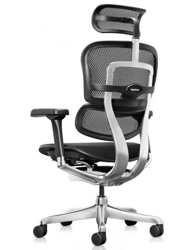 Кресло ERGOHUMAN ELITE 2 (EHE2-AB-HBM-F-5D-L), эргономичное, с тканевым сиденьем - купить Киев, Днепр, Од