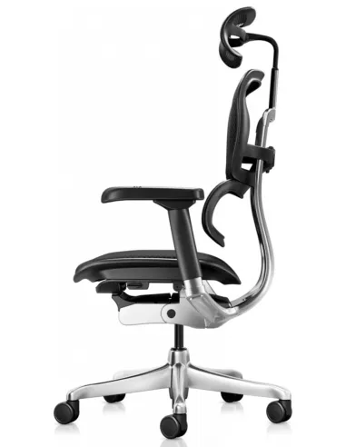 Кресло ERGOHUMAN ELITE 2 (EHE2-AB-HBM-F-5D-L), эргономичное, с тканевым сиденьем - купить Киев, Днепр, Од