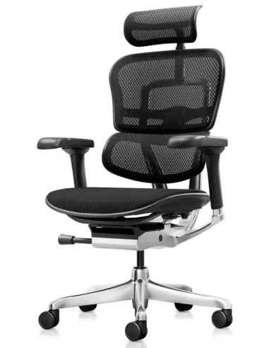 Кресло ERGOHUMAN ELITE 2 (EHE2-AB-HBM-F-5D-L), эргономичное, с тканевым сиденьем - купить Киев, Днепр, Од