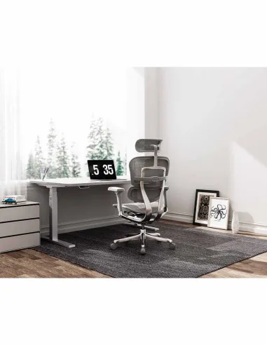 Кресло ERGOHUMAN ELITE 2 (EHE2-AB-HBM-F-5D-L), эргономичное, с тканевым сиденьем - купить Киев, Днепр, Од