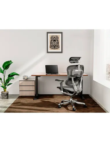 Крісло ERGOHUMAN ELITE 2 (EHE2-AB-HBM-F-5D-L), ергономічне, з тканинним сидінням - купити Київ, Дніпро,