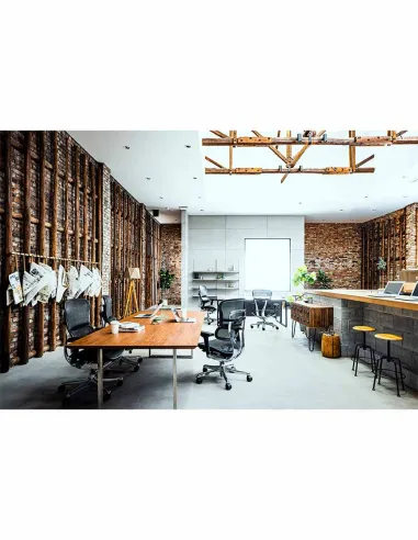 Кресло ERGOHUMAN ELITE 2 (EHE2-AB-HBM-F-5D-L), эргономичное, с тканевым сиденьем - купить Киев, Днепр, Од