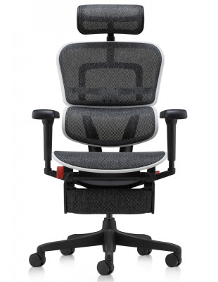 Кресло ERGOHUMAN ULTRA... 2