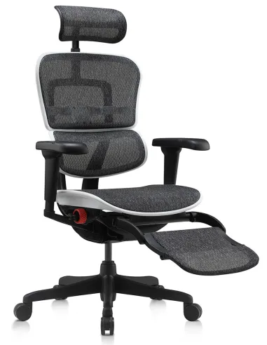 Кресло ERGOHUMAN ULTRA GAMING AURORA WHITE геймерское, с подставкой под ноги - купить Киев, Днепр, Одесса, Львов, Харьков