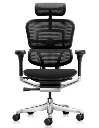 Крісло ERGOHUMAN ELITE 2 (EHE2-AB-HBM-F-5D-L), ергономічне, з тканинним сидінням - купити Київ, Дніпро,