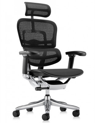 Крісло ERGOHUMAN LUXURY SE...