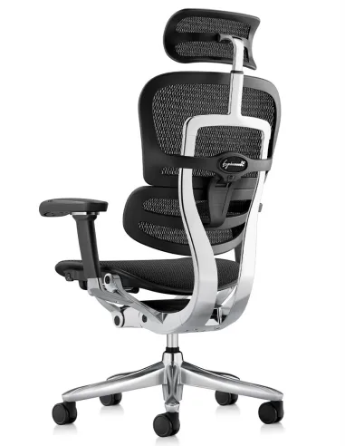Кресло ERGOHUMAN LUXURY SE (EHSE-AB-HAM-5D-ST-D, сетка W945-01Black), эргономичное - купить Киев, Днепр, Одесса, Львов, Харьков