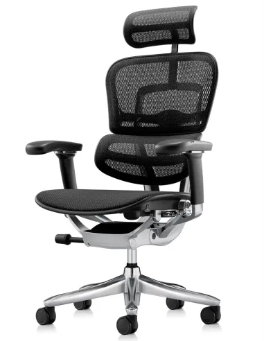 Крісло ERGOHUMAN LUXURY SE (EHSE-AB-HAM-5D-ST-D, сітка W945-01Black), ергономічне  - купити Київ, Дніпро, Одеса, Львів, Харків