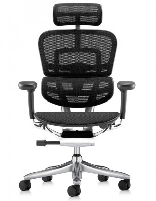 Кресло ERGOHUMAN LUXURY SE... 2