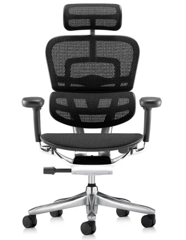 Крісло ERGOHUMAN LUXURY SE (EHSE-AB-HAM-5D-ST-D, сітка W945-01Black), ергономічне  - купити Київ, Дніпро, Одеса, Львів, Харків