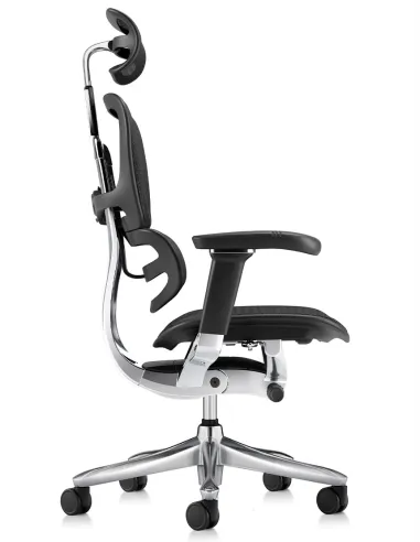 Кресло ERGOHUMAN LUXURY SE (EHSE-AB-HAM-5D-ST-D, сетка W945-01Black), эргономичное - купить Киев, Днепр, Одесса, Львов, Харьков