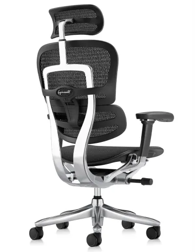 Кресло ERGOHUMAN LUXURY SE (EHSE-AB-HAM-5D-ST-D, сетка W945-01Black), эргономичное - купить Киев, Днепр, Одесса, Львов, Харьков