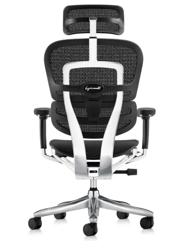 Крісло ERGOHUMAN LUXURY SE (EHSE-AB-HAM-5D-ST-D, сітка W945-01Black), ергономічне  - купити Київ, Дніпро, Одеса, Львів, Харків